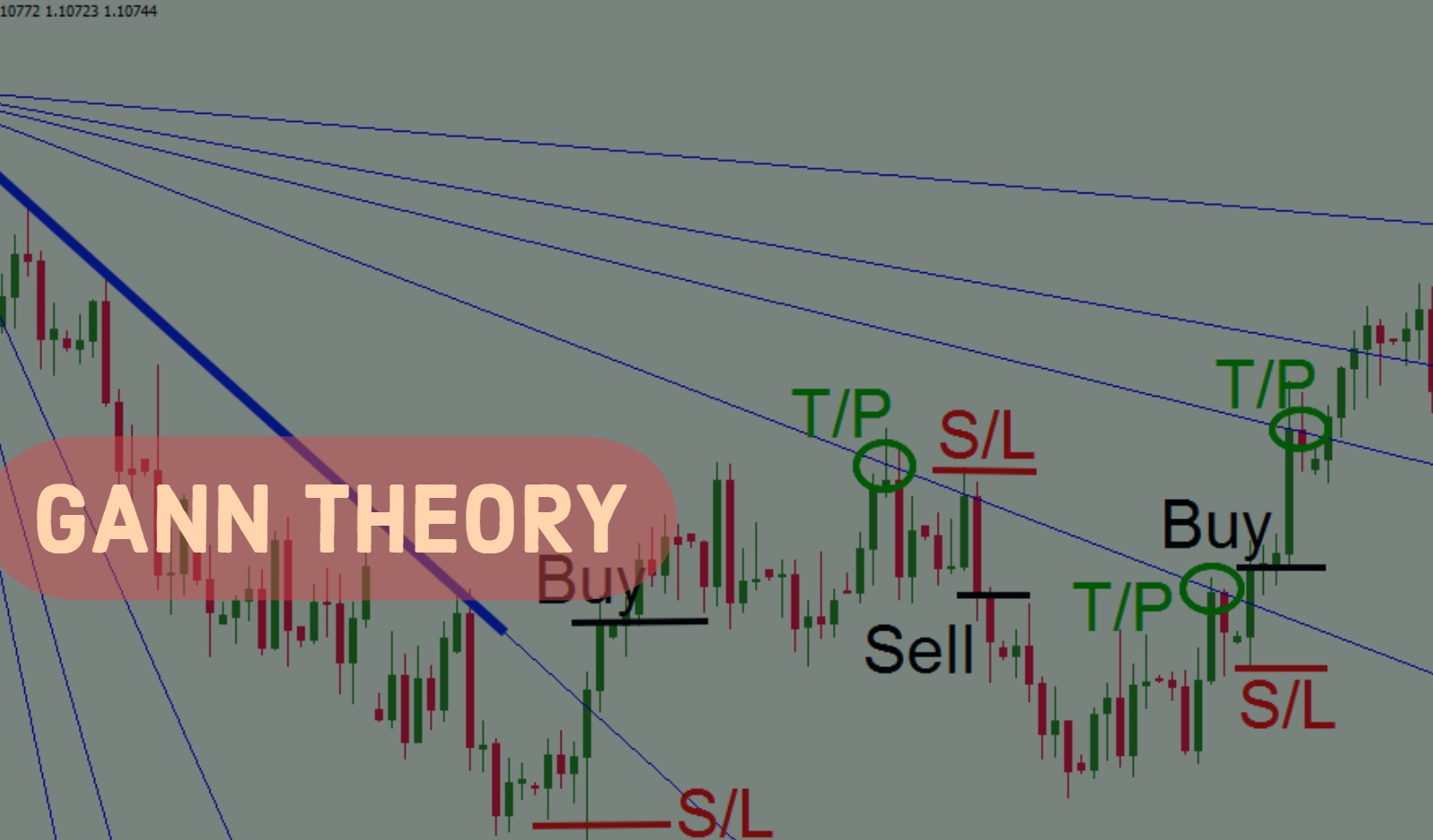 Gann Theory Course