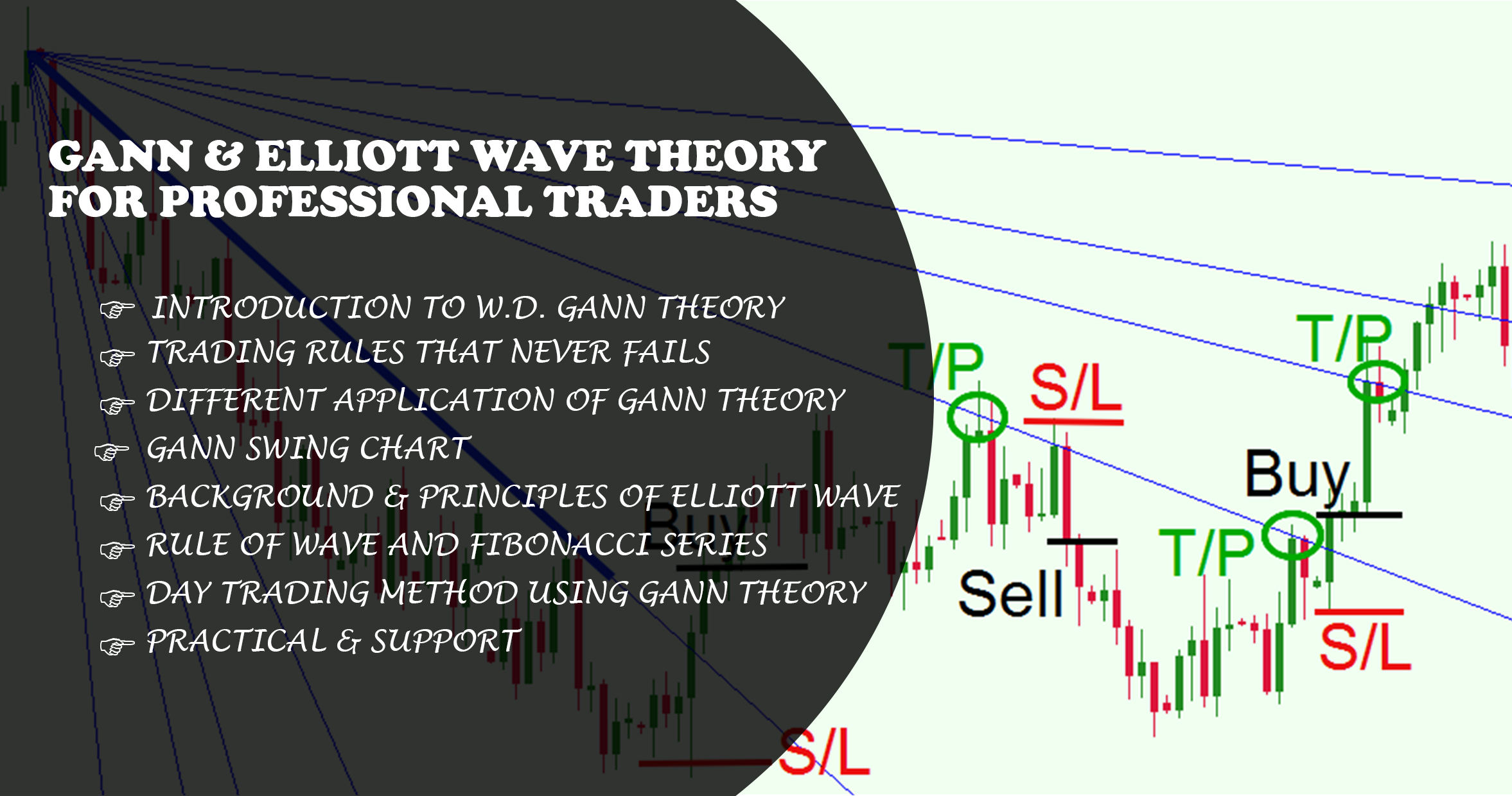 Gann Elliot Wave Theory Course